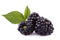 blackberries